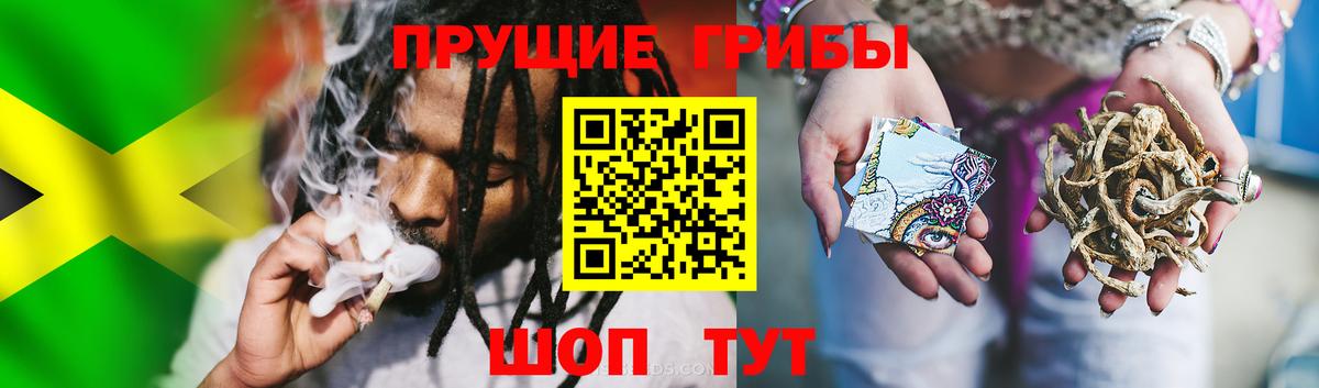 Вятские Поляны  купить наркоту  Галлюциногенные грибы ЛСД  Вход с VPN  Псилоцибиновые грибы Psilocybe 